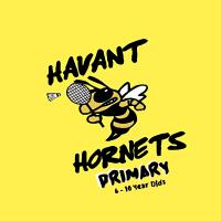 Logo - Havant Hornets Primary